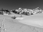 bscarp17 067m